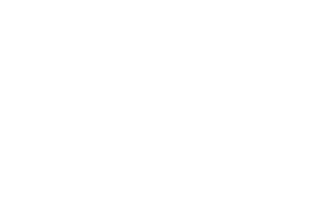 2026 Push The Boat Out Festival logo